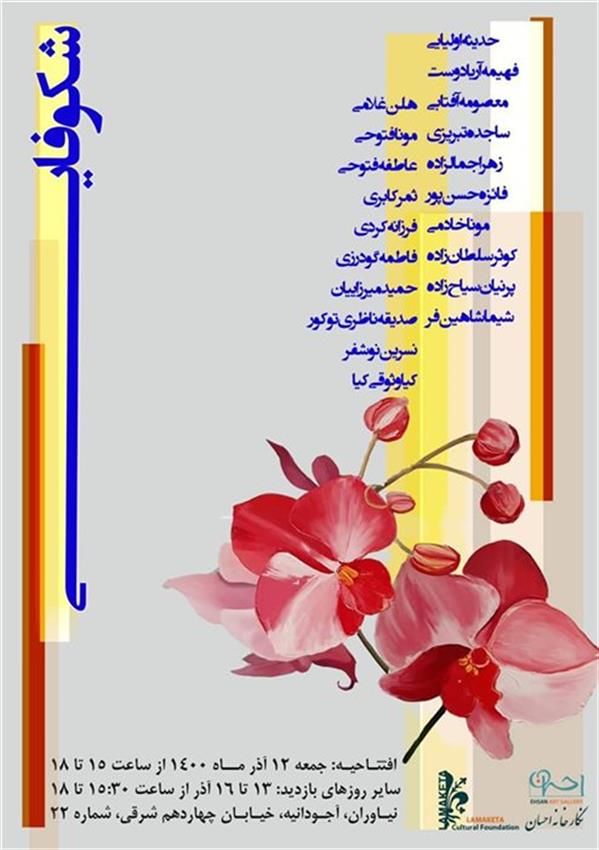 شکوفایی